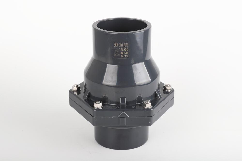 汪场镇翻板式止回阀