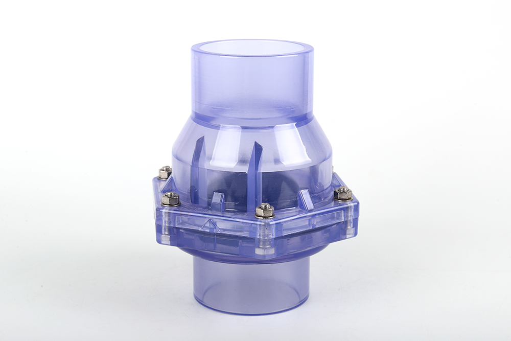 汪场镇透明翻板式止回阀